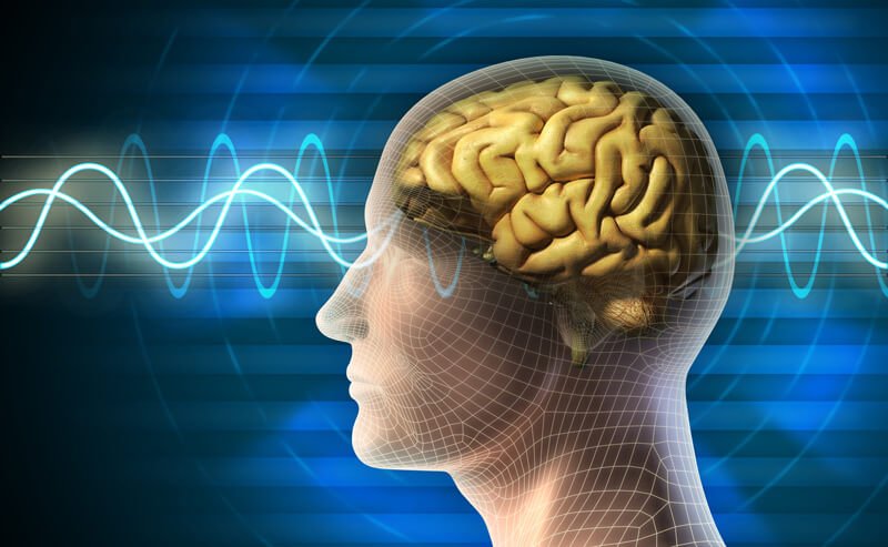 Binaural Beats Flowing in the brain